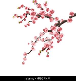 Kirschblüte Zweig. EPS 10 Stock Vektor