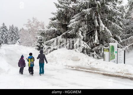 Verschneite Winterlandschaft in Montreal, Quebec (Botanischer Garten) Stockfoto