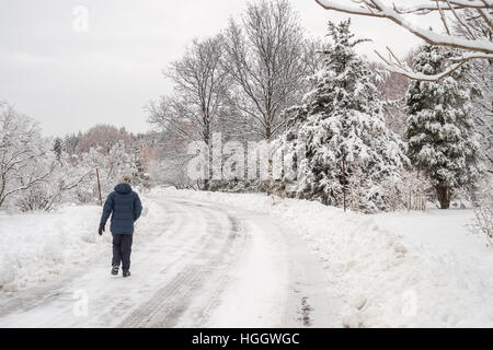 Montreal, CA - 4. Januar 2017: verschneite Winterlandschaft in Montreal, Quebec (Botanischer Garten) Stockfoto