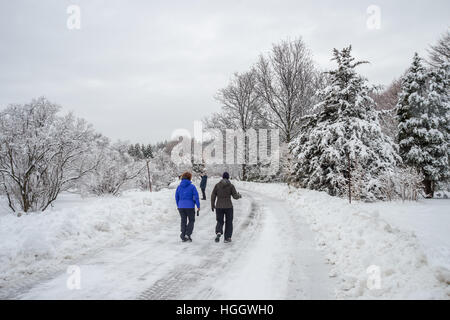 Montreal, CA - 4. Januar 2017: verschneite Winterlandschaft in Montreal, Quebec (Botanischer Garten) Stockfoto