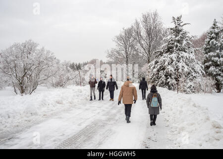 Montreal, CA - 4. Januar 2017: verschneite Winterlandschaft in Montreal, Quebec (Botanischer Garten) Stockfoto