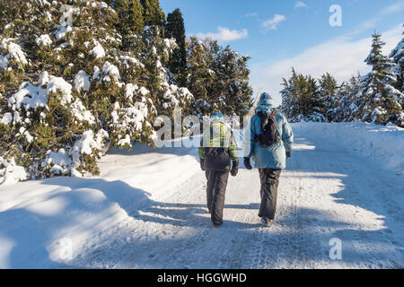 Montreal, CA - 5. Januar 2017: verschneite Winterlandschaft in Montreal, Quebec (Botanischer Garten) Stockfoto