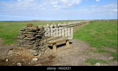 Cornish Fischgräten Hedge (Art der Trockenmauer), North Cornwall, England, UK Stockfoto