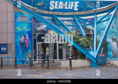 National Sea Life Centre, Brindleyplace, Birmingham, West Midlands, England, UK Stockfoto