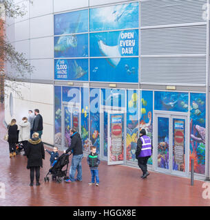 National Sea Life Centre, Brindleyplace, Birmingham, West Midlands, England, UK Stockfoto