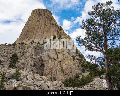 Des Teufels Turm aus dem Tower Trail, Teufels Tower National Monument, Wyoming. Stockfoto