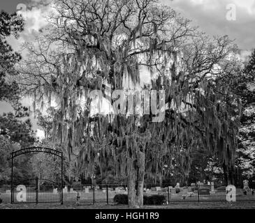 Tomball, TX USA - 27. Dezember 2016 - dieser Friedhof ist ein TX-Wahrzeichen und wurde im Jahre 1873 eröffnet. Stockfoto