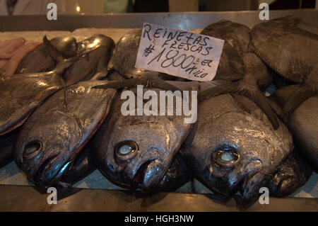 Markthalle Santa Caterina, Chile, Südamerika Stockfoto