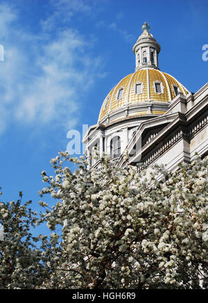 Kapitol-Gebäude Goldhaube in Denver Colorado Capitol Hill Viertel. Stockfoto