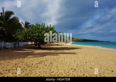 Zwei Meilen langen Grand Anse Strand in der karibische Inselstaat Grenada Stockfoto