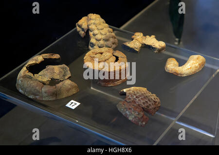 Museum-Vitrine, archäologische findet National Museum of Archaeology Grumento, Basilikata, Italien Stockfoto