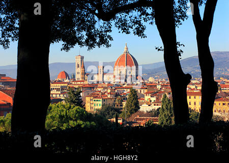 Firenze, Cattedrale di Santa Maria del Fiore Trog die Bäume in der Toskana, Italien Stockfoto