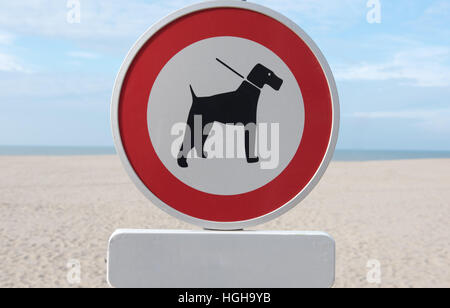 Zeichen für Hund Verbot am Strand Nordsee in Belgien Stockfoto