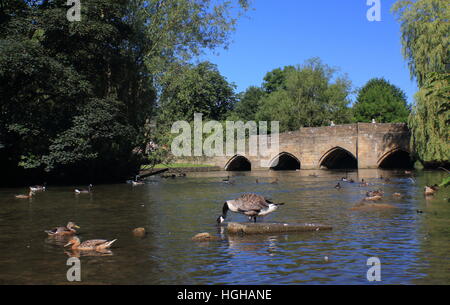 Mittelalterliche Brücke über den Fluss Wye im Zentrum von Bakewell; eine hübsche Marktstadt im Peak District, Derbyshire UK Sommer Stockfoto
