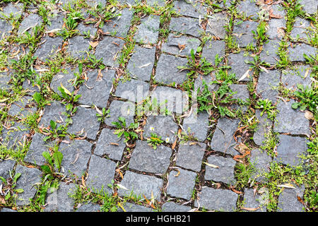 Gepflasterten Gehweg mit Rasen oder moosigen Boden Stockfoto