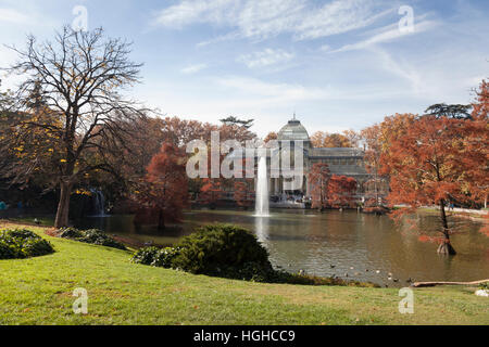 Madrid, Spanien: Herbst-Landschaft im Palacio de Cristal in Buen Retiro Park. Stockfoto