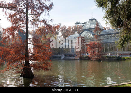 Madrid, Spanien: Herbst-Landschaft im Palacio de Cristal in Buen Retiro Park. Stockfoto