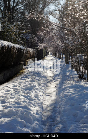 Verschneiten Bürgersteig einer baumgesäumten Straße in einem Wohnviertel, Vancouver, Britisch-Kolumbien, Kanada Stockfoto