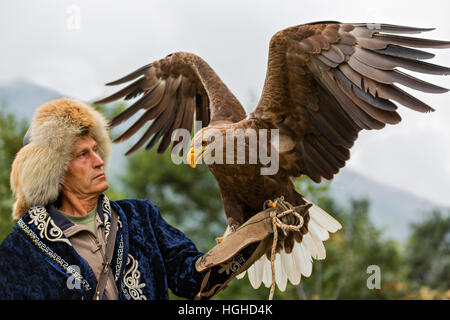 Kasachische Adler Jäger in traditionellen Kostümen mit seinem goldenen Adler in Almaty, Kasachstan. Stockfoto