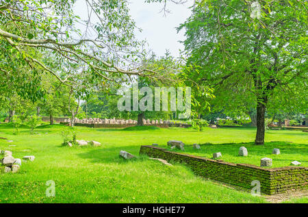 Spaziergang im üppigen Garten Jetavana Kloster mit Blick auf die Ruinen der Kapitelsaal (Diyasen Paya) hinter den Bäumen, Anuradhapura, Sri Lanka Stockfoto