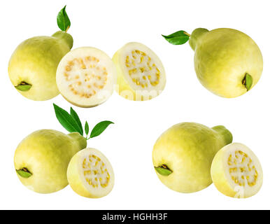Guave isoliert auf weißem Hintergrund Stockfoto