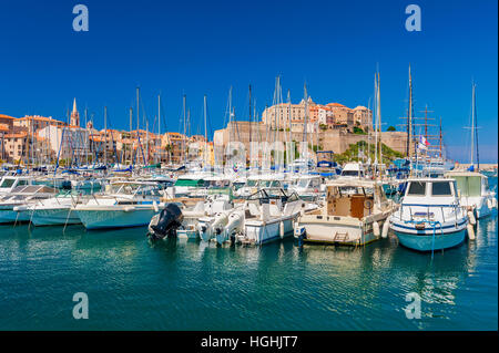 Yachthafen von Calvi Korsika Stockfoto