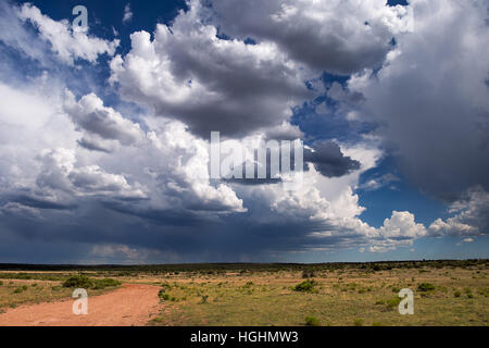 Hochsommer Gewitter Cumulonimbus Wolken am Horizont Stockfoto