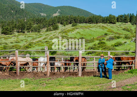 USA, Wyoming, Wolf, Eaton-Ranch Stockfoto