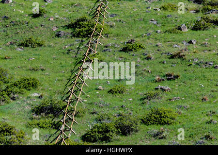 USA, Wyoming, Wolf, Eaton-Ranch Stockfoto