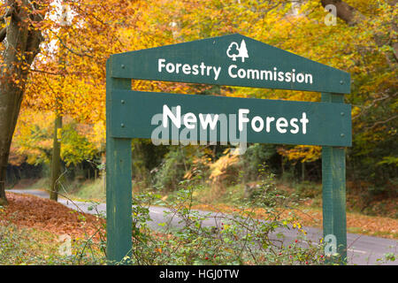 New Forest National Park-Schild am Schwan grün, Lyndhurst, Hampshire, England, Vereinigtes Königreich Stockfoto
