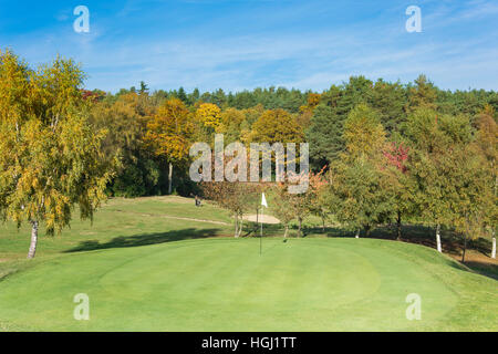 Grün auf Golfplatz auf Foxhills & Clubresort, Stonehill Road, Ottershaw, Surrey, England, Vereinigtes Königreich Stockfoto