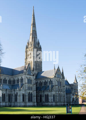 Ostseite der Kathedrale von Salisbury an frühen Herbstmorgen, Nähe Kathedrale, Salisbury, Wiltshire, England, Vereinigtes Königreich Stockfoto