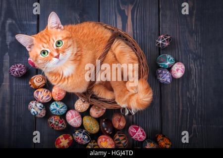 Katze sitzt in einem Korb auf einem hölzernen Hintergrund mit Ostereiern herum. Stockfoto