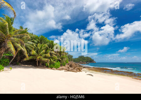 Palmen auf schönen unberührten weißen Sandstrand auf den Seychellen Stockfoto