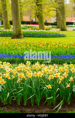 Formale Frühlingsgarten Stockfoto