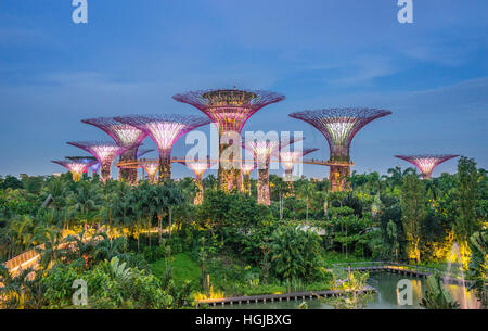 Singapur, Gärten durch den Blick auf die Bucht, am Abend des Supertree Hains Stockfoto