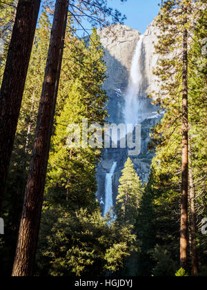 Upper und Lower Yosemite Falls im Yosemite Valley gesehen vom Talboden auf einem hellen Wintertag im Dezember 2016. Stockfoto