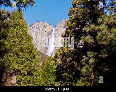 Upper Yosemite Falls im Yosemite Valley gesehen vom Talboden auf einem hellen Wintertag im Dezember 2016. Stockfoto