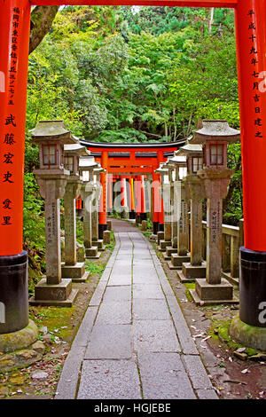 Pfad, gesäumt von Torii und Laternen am Fushimi Inari Schrein Stockfoto