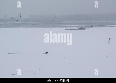 Gefrorene Donau mit erbeuteten Booten und Möwen auf einem schneit Wintertag Stockfoto