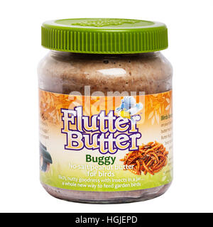 Ein Glas Erdnussbutter für die Fütterung Gartenvögel auf weißem Hintergrund Stockfoto