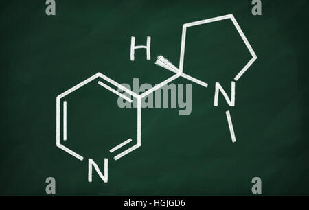 Strukturmodell des Nikotin an die Tafel. Stockfoto