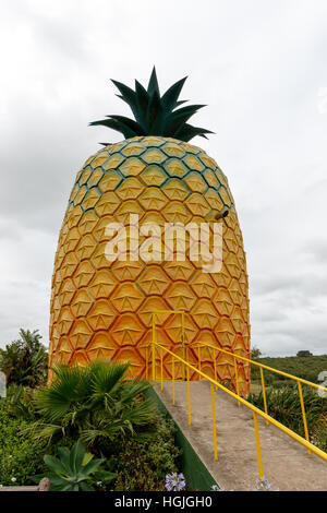 Die größte künstliche Ananas in der Welt finden Sie in der Stadt Bathurst, in der Provinz Eastern Cape (ca. 55 km von Grahamstown). Es ist den Einheimischen Stockfoto