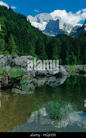 Blick vom Gosausee auf Hoher Dachstein (3004m), Gosau, Oberösterreich, Österreich Stockfoto