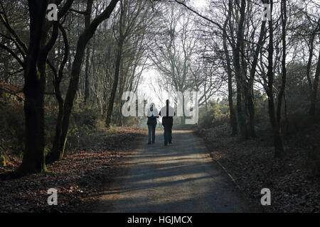 Hindhead, Surrey, England UK. 22. Januar 2017. Ein paar machen Sie einen Spaziergang durch die Bäume auf dem Devil Punchbowl, Hindhead, ein beliebter Ort für ein Wochenende zu Fuß. Bildnachweis: Julia Gavin UK/Alamy Live-Nachrichten Stockfoto