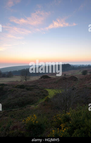 Hardy Monument, Dorset, UK. 22. Januar 2017. Ein buntes Winter Sonnenuntergang. © Dan Tucker/Alamy Live-Nachrichten Stockfoto