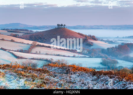 Bridport, Dorset, UK. 23. Januar 2017. Großbritannien Wetter. Ein starker Frost und Tal Nebel Colmers Hill in Bridport in Dorset, von Eype nach unten auf einem kühlen Morgen bei Sonnenaufgang angesehen. Bildnachweis: Graham Hunt/Alamy Live-Nachrichten Stockfoto