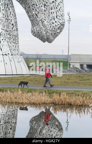 Falkirk, Schottland. 23. Januar 2017. UK-Wetter - nach ein Morgen strahlend blauem Himmel in The Kelpies, von Mittag mal Wolken und Nebel bewegt. In einer Höhe von 30 Metern sind die zwei Pferdeköpfe - erstellt von Andy Scott - die weltweit größte equine Skulpturen Credit: Kay Roxby/Alamy Live News Stockfoto