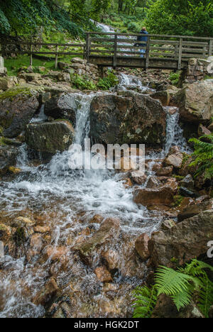 Beck und Wasserfall am Buttermere Cumbria. Nordwestengland. Lake District. 2008 Stockfoto