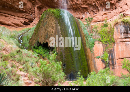 Band fällt auf einen großen Algen bedeckten Felsen an seiner Basis in den Grand Canyon gießen. Grand Canyon Nationalpark in Arizona Stockfoto